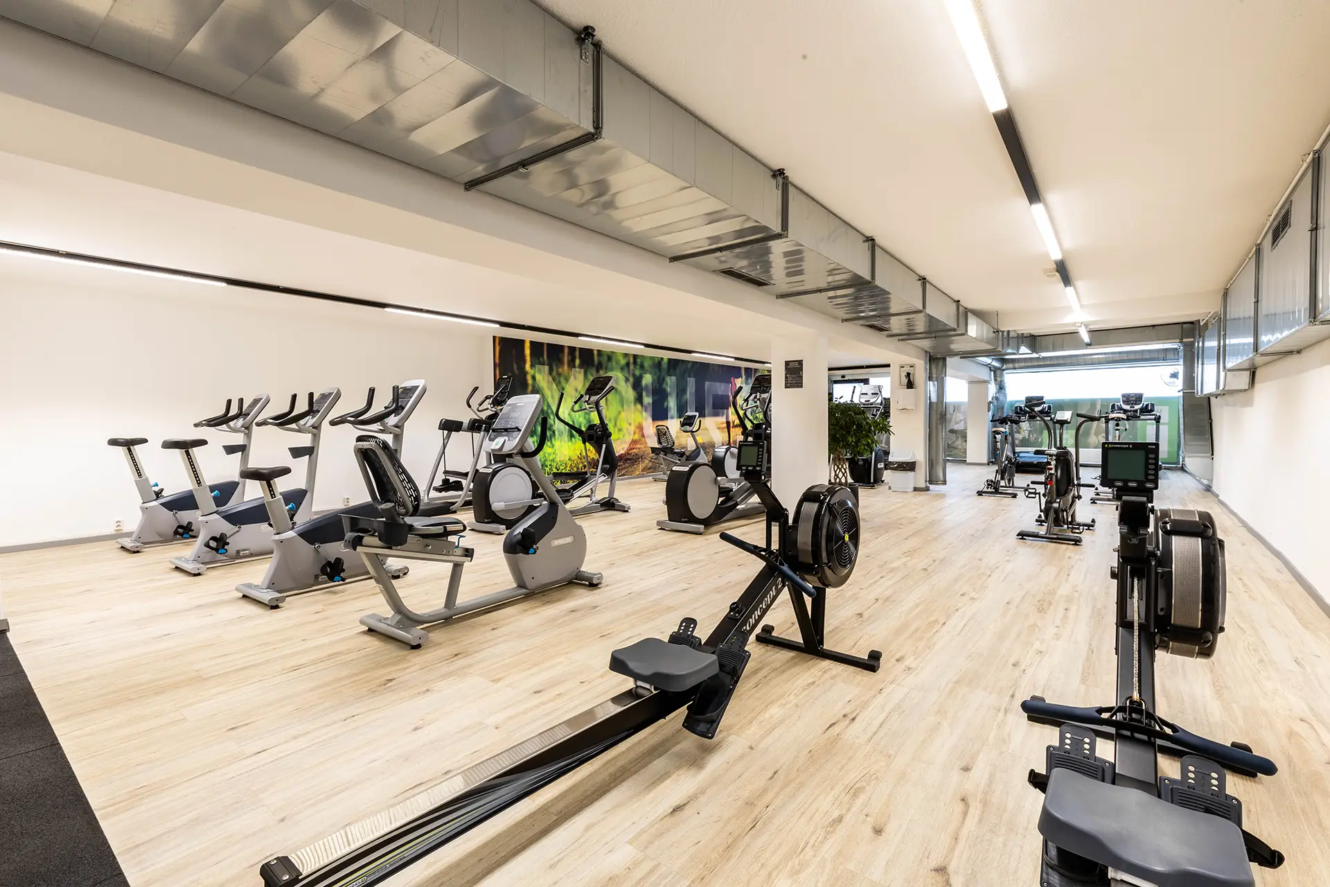 Cardio im Fitnessstudio YOU!FIT